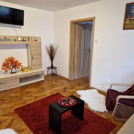 Petuniei Apartment Braşov Exterior foto