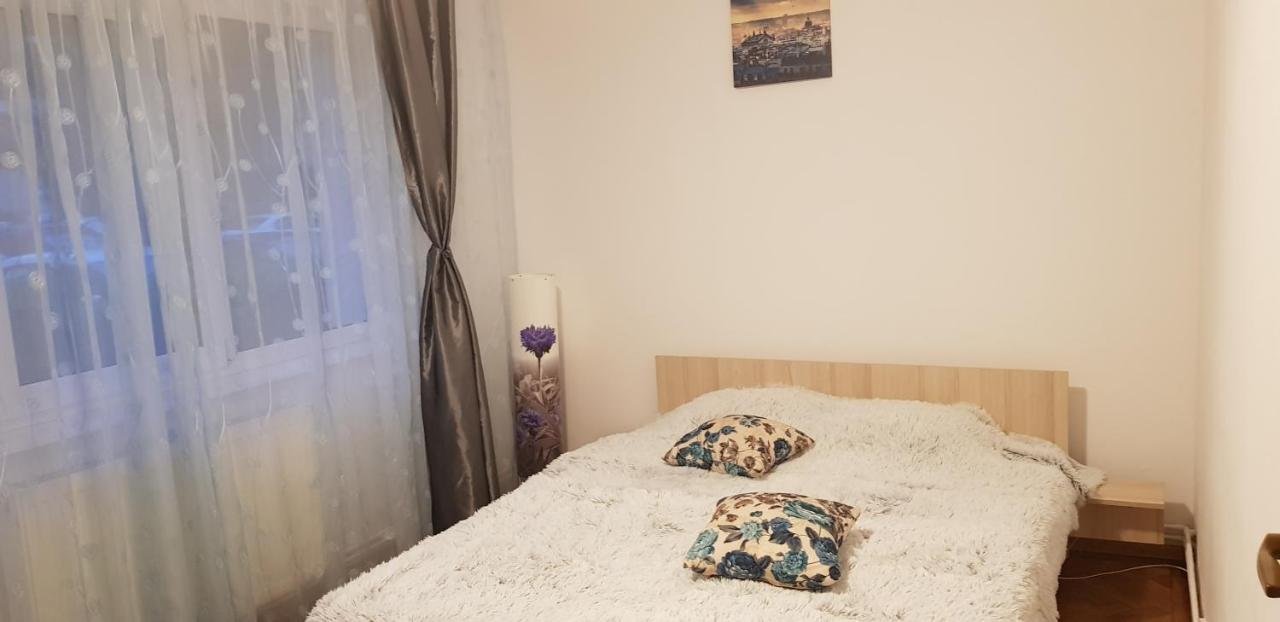 Petuniei Apartment Braşov Exterior foto