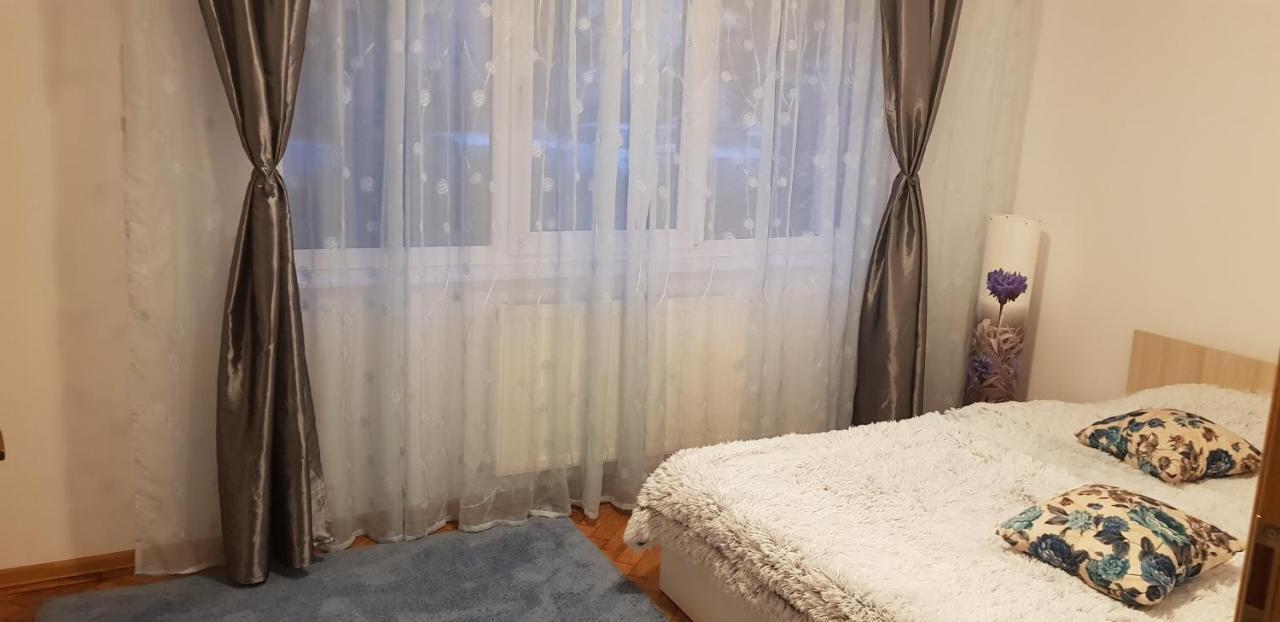 Petuniei Apartment Braşov Exterior foto