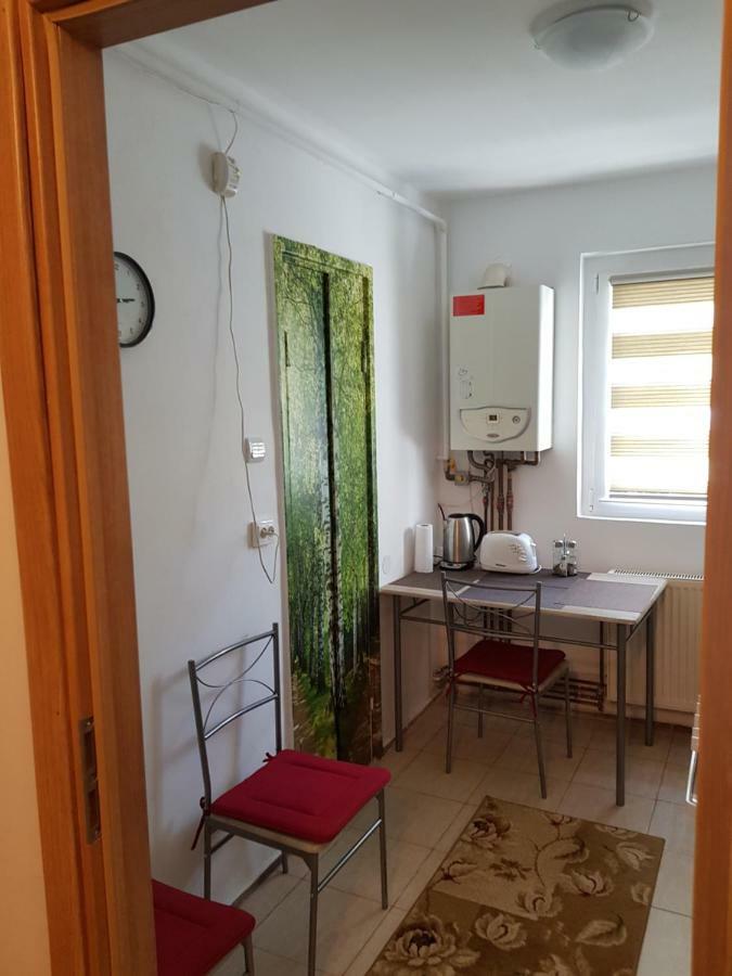 Petuniei Apartment Braşov Exterior foto