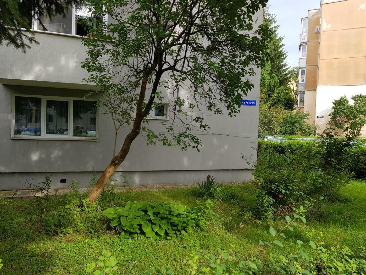 Petuniei Apartment Braşov Exterior foto